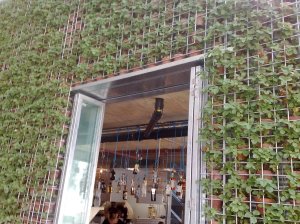 Greenhouse The Greenhouse