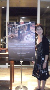 Marina Bay Sands Chocolate Buffet Marina Bay Sands Chocolate Buffet