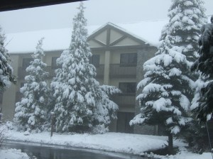 Tenaya Lodge at Yosemite